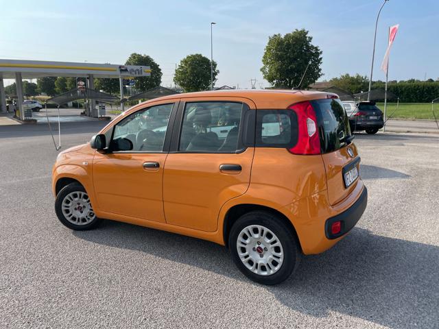 FIAT Panda 1.2 Easy Immagine 2