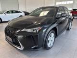 LEXUS UX Full Electric UX Hybrid Business