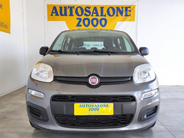 FIAT Panda 1.2 Easy  NEOPATENTATI Immagine 1