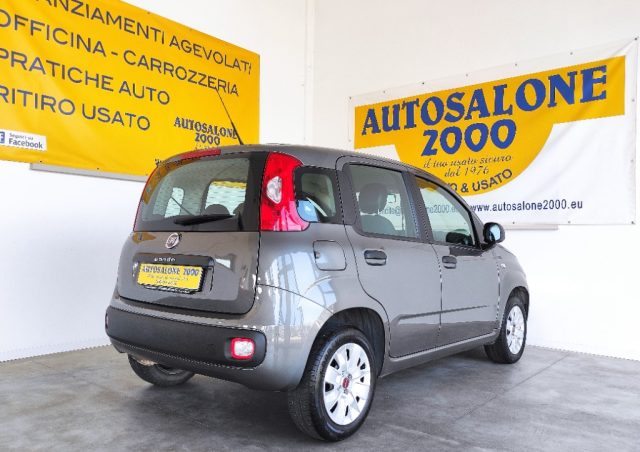 FIAT Panda 1.2 Easy  NEOPATENTATI Immagine 3