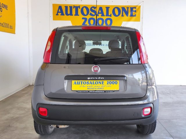 FIAT Panda 1.2 Easy  NEOPATENTATI Immagine 4