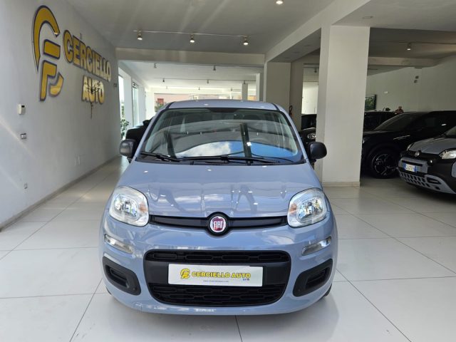 FIAT Panda 1.0 FireFly S&S Hybrid da ?119,00 mensili Immagine 0