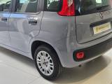 FIAT Panda 1.0 FireFly S&S Hybrid da ?119,00 mensili