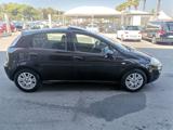 FIAT Punto 1.3 MJT II S&S 95 CV 5 porte Sport