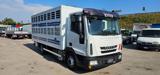 IVECO EUROCARGO 80E22 TRASPORTO ANIMALI MT5.25+SPONDA