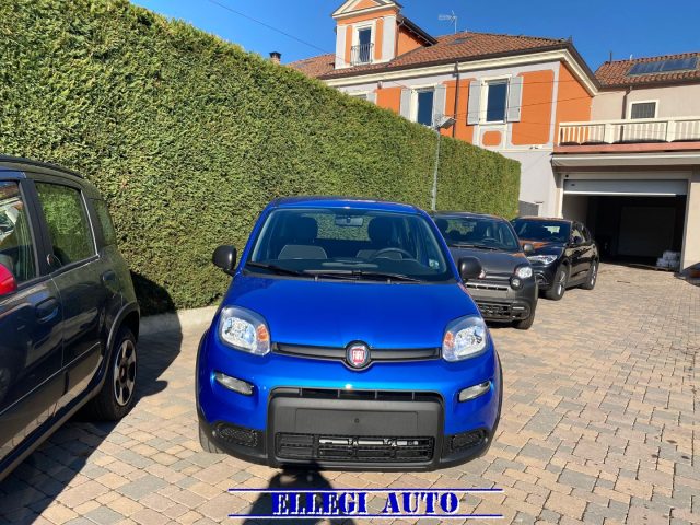 FIAT Panda Elettrica/Benzina usata, Italia