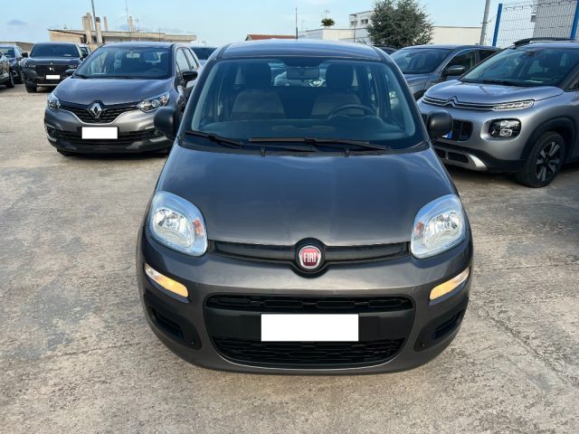 FIAT Panda 1.0 FireFly S&S Hybrid Immagine 3