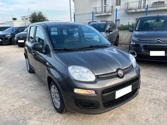 FIAT Panda 1.0 FireFly S&S Hybrid Immagine 1