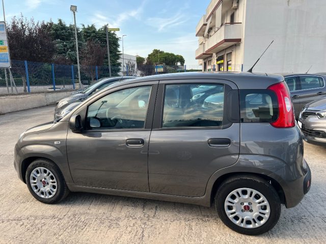 FIAT Panda 1.0 FireFly S&S Hybrid Immagine 4