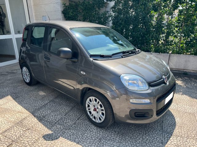 FIAT Panda 1.0 FireFly S&S Hybrid Immagine 2