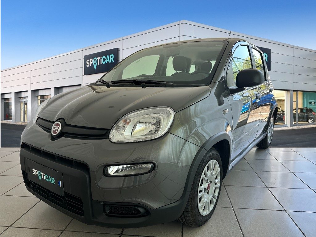 FIAT Panda 1.0 FireFly S&S Hybrid Ibrida usato