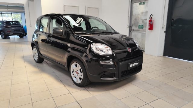 FIAT Panda 1.0 FireFly S&S Hybrid Immagine 2