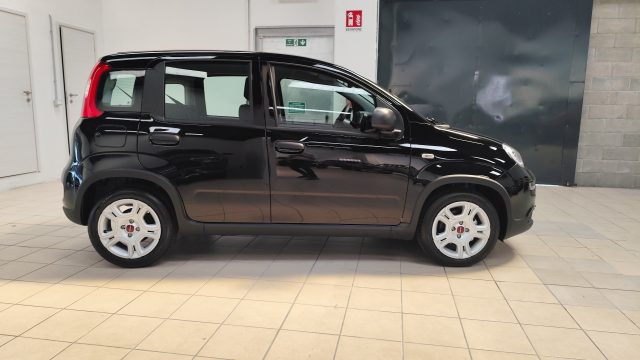 FIAT Panda 1.0 FireFly S&S Hybrid Immagine 3