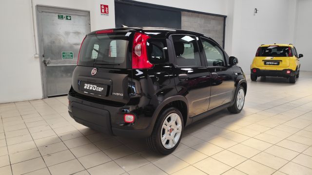 FIAT Panda 1.0 FireFly S&S Hybrid Immagine 4