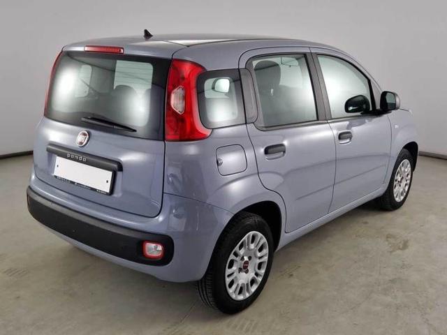 FIAT Panda 1.2 Easy Immagine 3