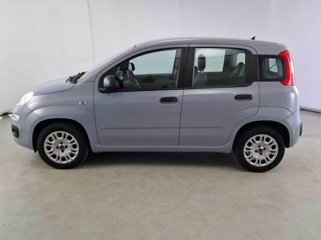 FIAT Panda 1.2 Easy Immagine 2