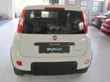 FIAT Panda 1.0 S&S Hybrid Van 2 posti