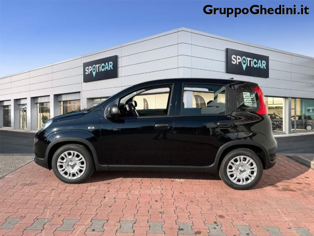 FIAT Panda 1.0 FireFly S&S Hybrid Immagine 1