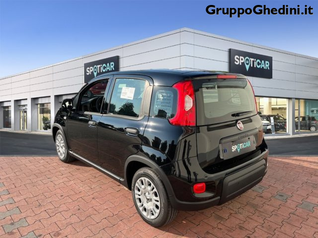 FIAT Panda 1.0 FireFly S&S Hybrid Immagine 2