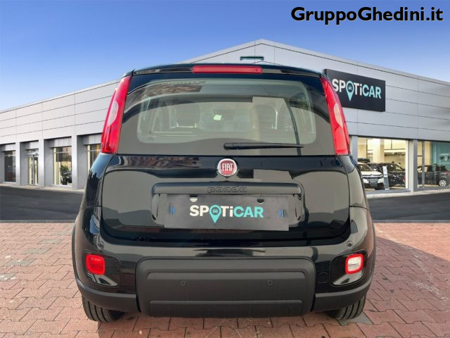 FIAT Panda 1.0 FireFly S&S Hybrid Immagine 3