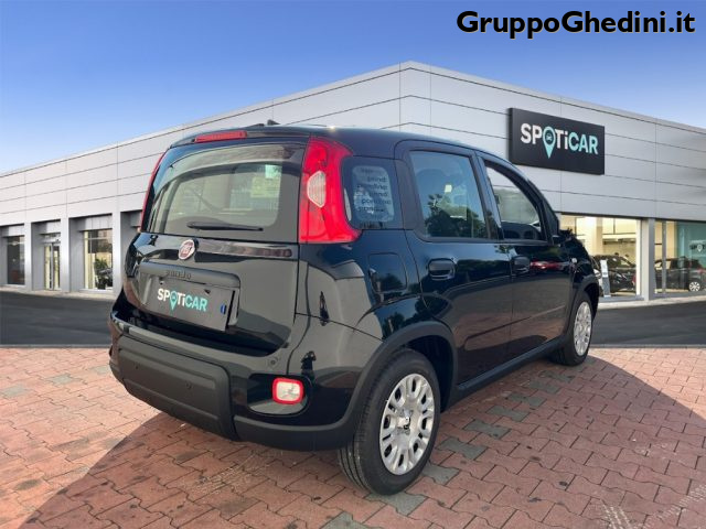 FIAT Panda 1.0 FireFly S&S Hybrid Immagine 4