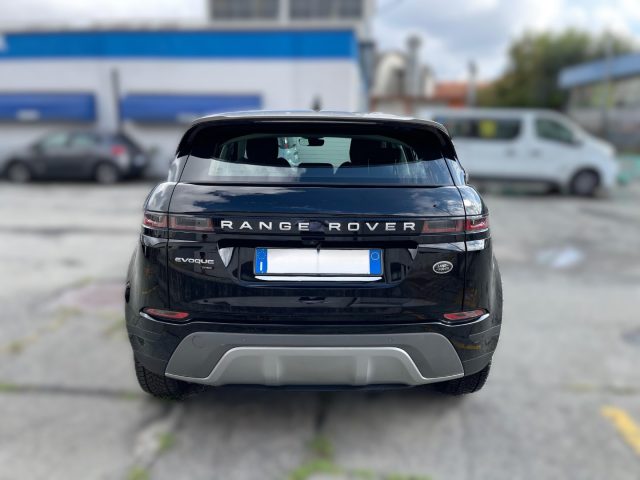 LAND ROVER Range Rover Evoque EVOQUE 2.0 D 150CV BUSINESS EDITION AWD AUTO Immagine 3