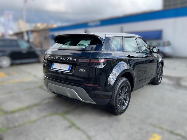 LAND ROVER Range Rover Evoque EVOQUE 2.0 D 150CV BUSINESS EDITION AWD AUTO Immagine 2