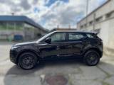 LAND ROVER Range Rover Evoque EVOQUE 2.0 D 150CV BUSINESS EDITION AWD AUTO