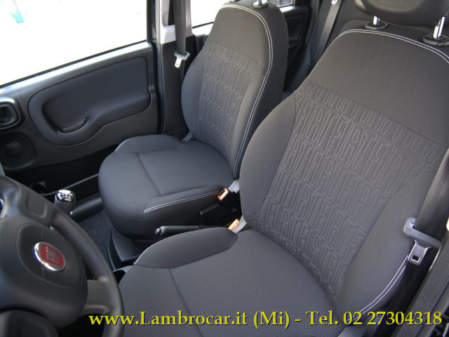 FIAT Panda 1.0 FireFly S&S Hybrid KM Zero Immagine 3