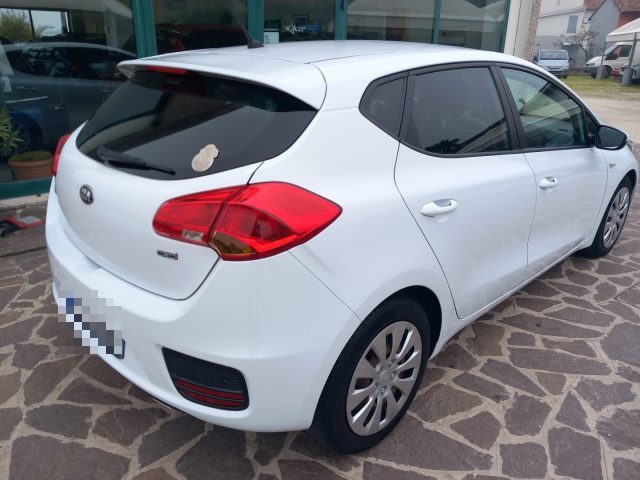 KIA cee'd 1.6 CRDi 110 CV 5 porte Active Immagine 1