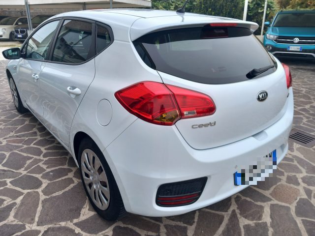 KIA cee'd 1.6 CRDi 110 CV 5 porte Active Immagine 4