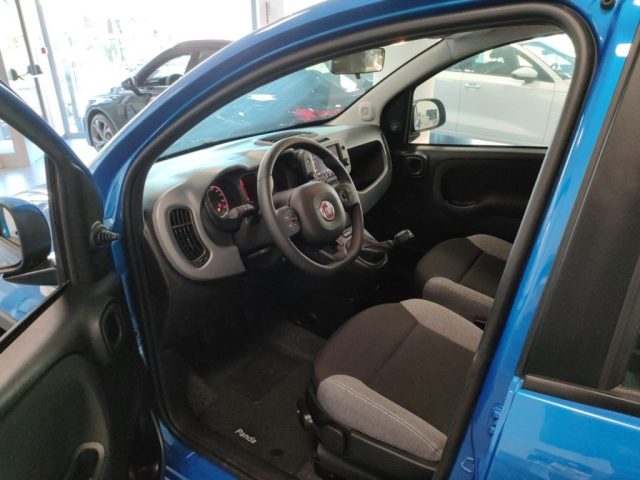 FIAT Panda 1.0 Hybrid/GPL City Cross Immagine 3