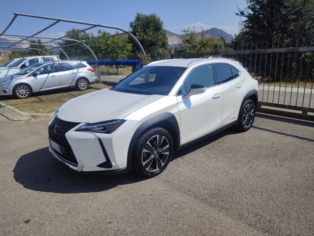 LEXUS UX 250h UX Hybrid Executive Immagine 2