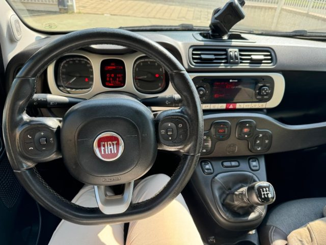 FIAT Panda 1.2 City Cross Immagine 2