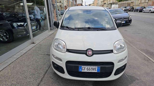 FIAT Panda 1.0 70cv S&S Hybrid Van 2 posti Immagine 1