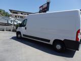 FIAT Ducato 35 2.3 MJT 150CV PLM-TA Furgone