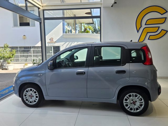 FIAT Panda 1.0 FireFly S&S Hybrid da ?119,00 mensili Immagine 2