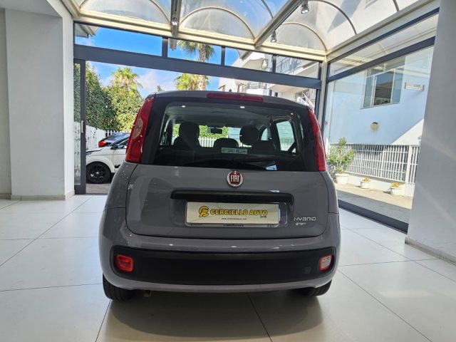 FIAT Panda 1.0 FireFly S&S Hybrid da ?119,00 mensili Immagine 3