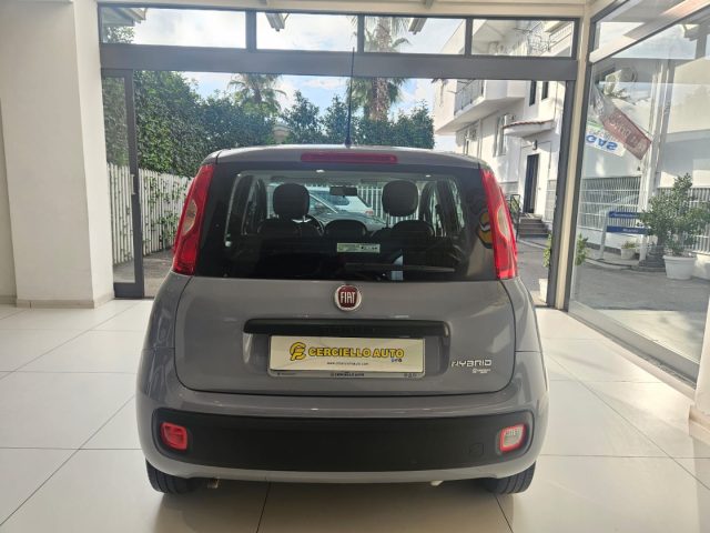 FIAT Panda 1.0 FireFly S&S Hybrid da ?119,00 mensili Immagine 3