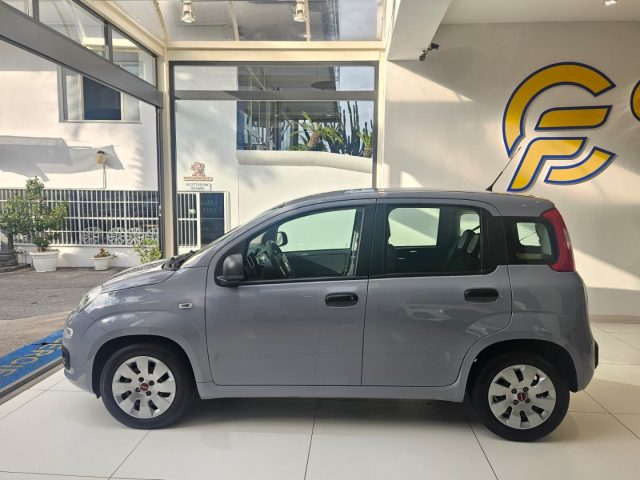 FIAT Panda 1.0 FireFly S&S Hybrid da ?119,00 mensili Immagine 4