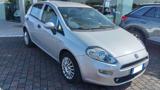 FIAT Punto 1.2 8V 5 porte Street