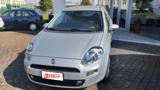 FIAT Punto 1.2 8V 5 porte Street