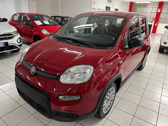 FIAT New Panda 1.0 Hybrid PROMO CAR SERENITY Immagine 1