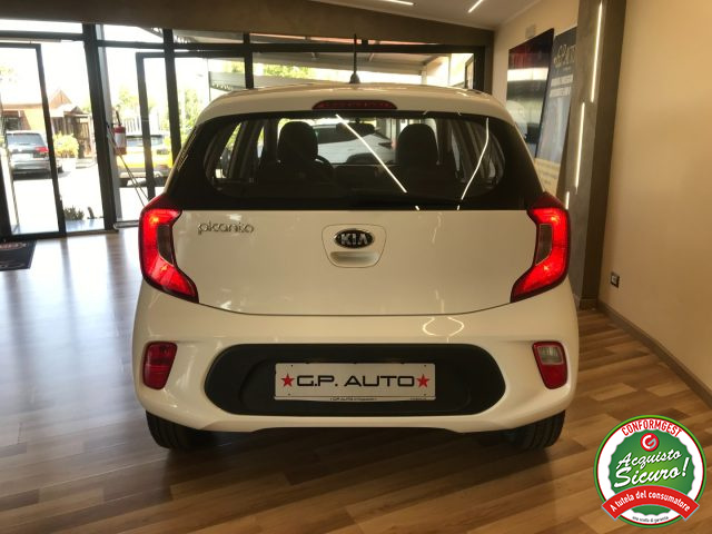 KIA Picanto 1.0 12V 5 porte City Immagine 4