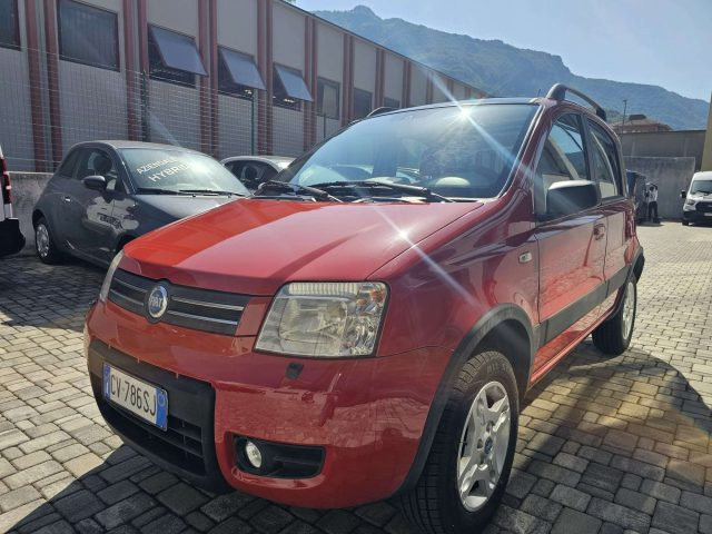 FIAT Panda Panda 1.2 Climbing 4x4 OK NEO PATENTATO Immagine 1