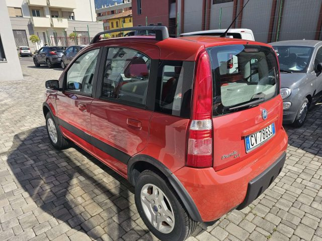 FIAT Panda Panda 1.2 Climbing 4x4 OK NEO PATENTATO Immagine 2