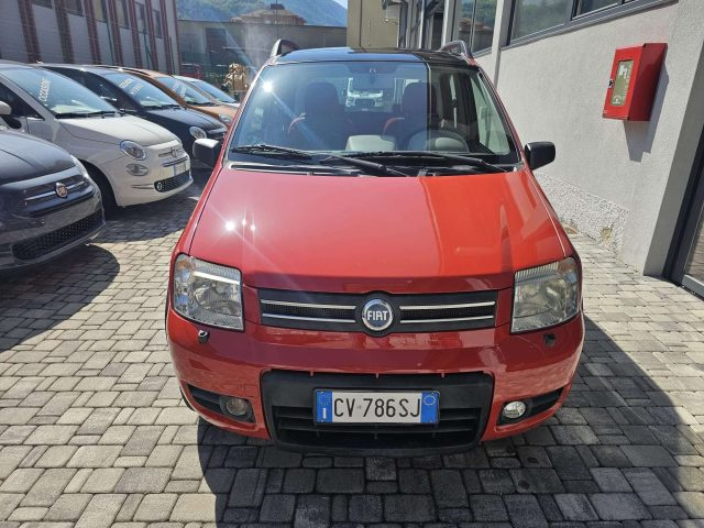 FIAT Panda Panda 1.2 Climbing 4x4 OK NEO PATENTATO Immagine 4