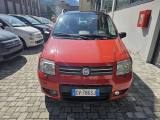 FIAT Panda Panda 1.2 Climbing 4x4 OK NEO PATENTATO