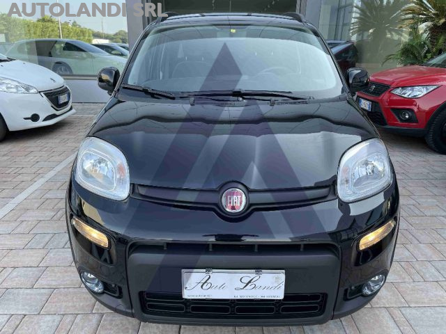 FIAT Panda 1.0 FireFly S&S Hybrid Immagine 2