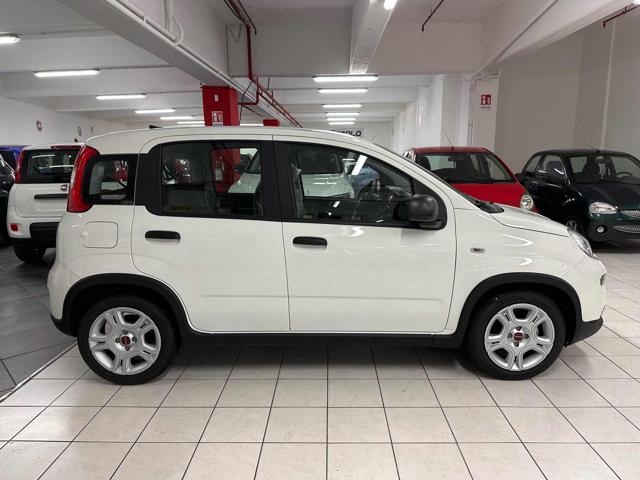 FIAT Panda 1.0  Hybrid SENZA FINANZIAMENTO Immagine 2